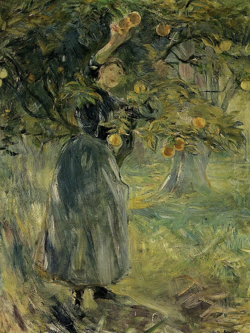 Raccolta di arance